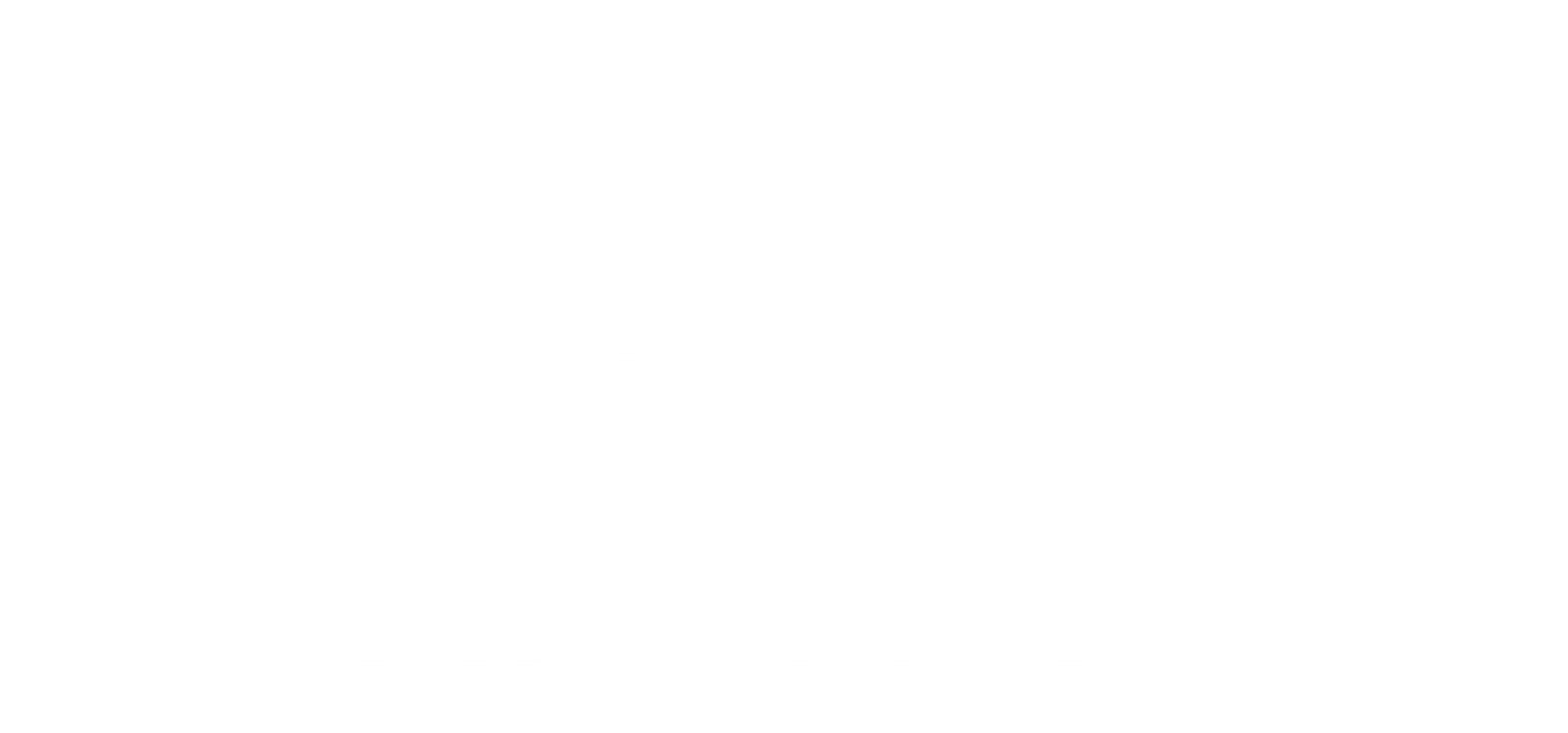 Vivevolando Academia Aeronáutica